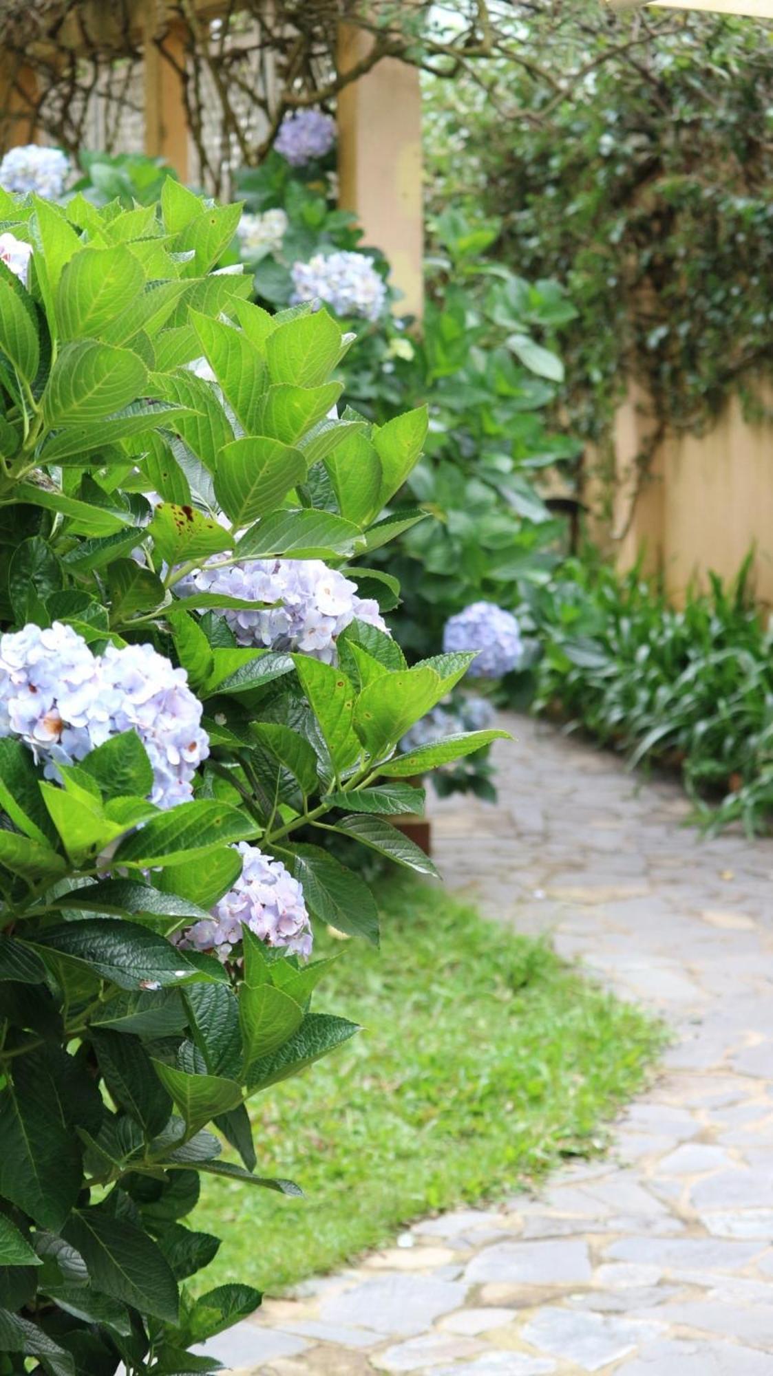 Bich Dao Boutique - Dalat Hotell Exteriör bild