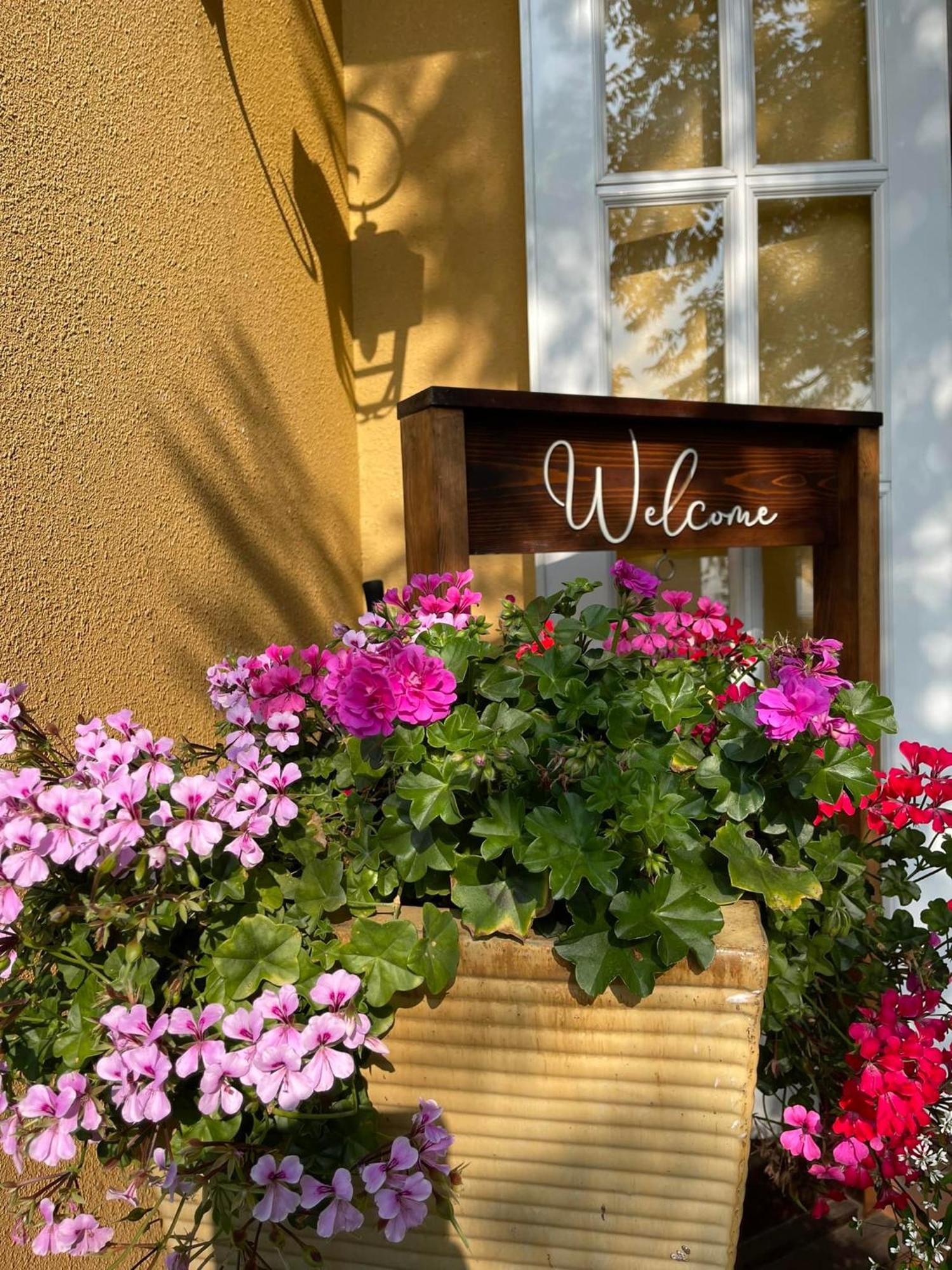 Bich Dao Boutique - Dalat Hotell Exteriör bild