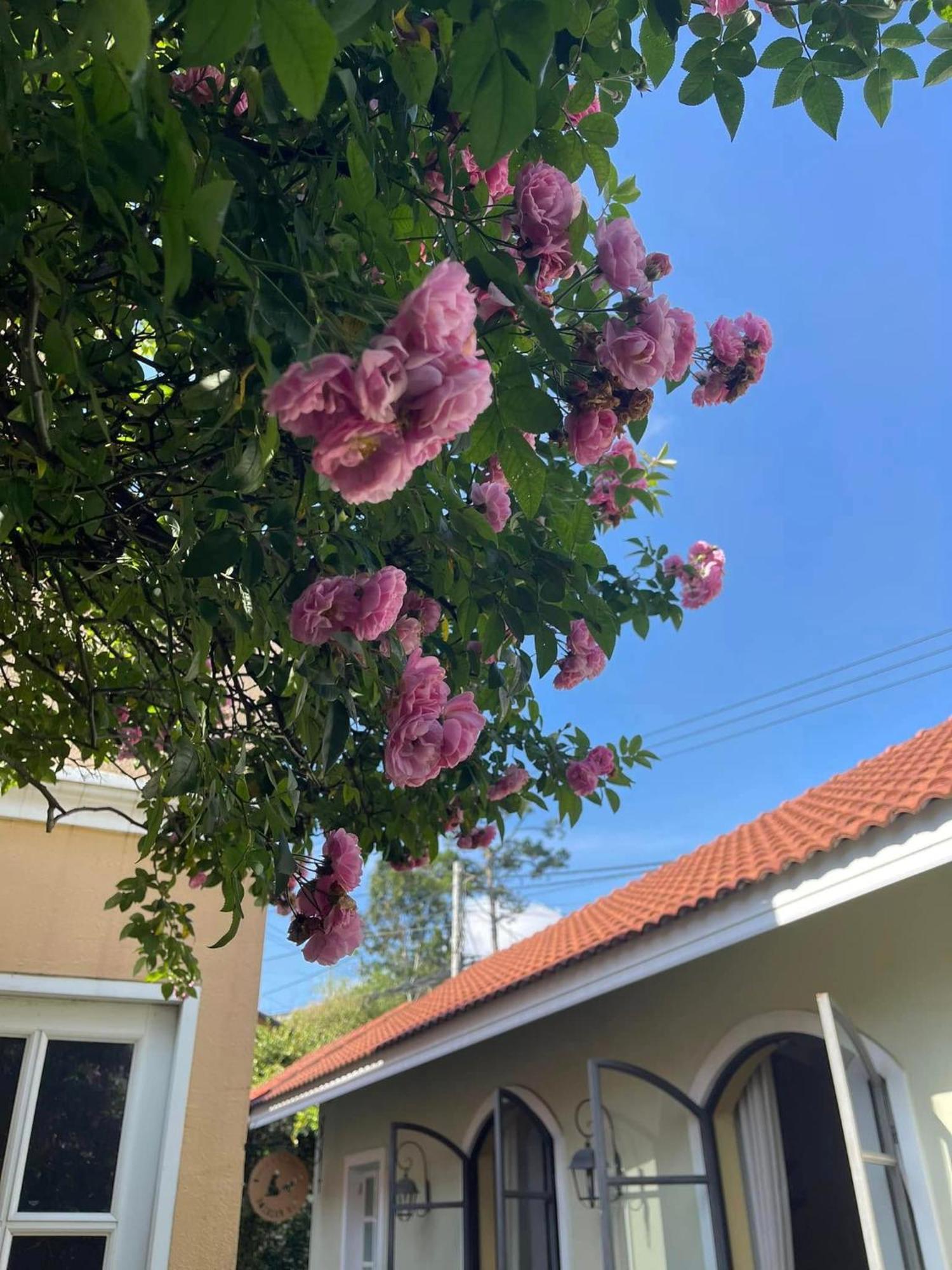 Bich Dao Boutique - Dalat Hotell Exteriör bild