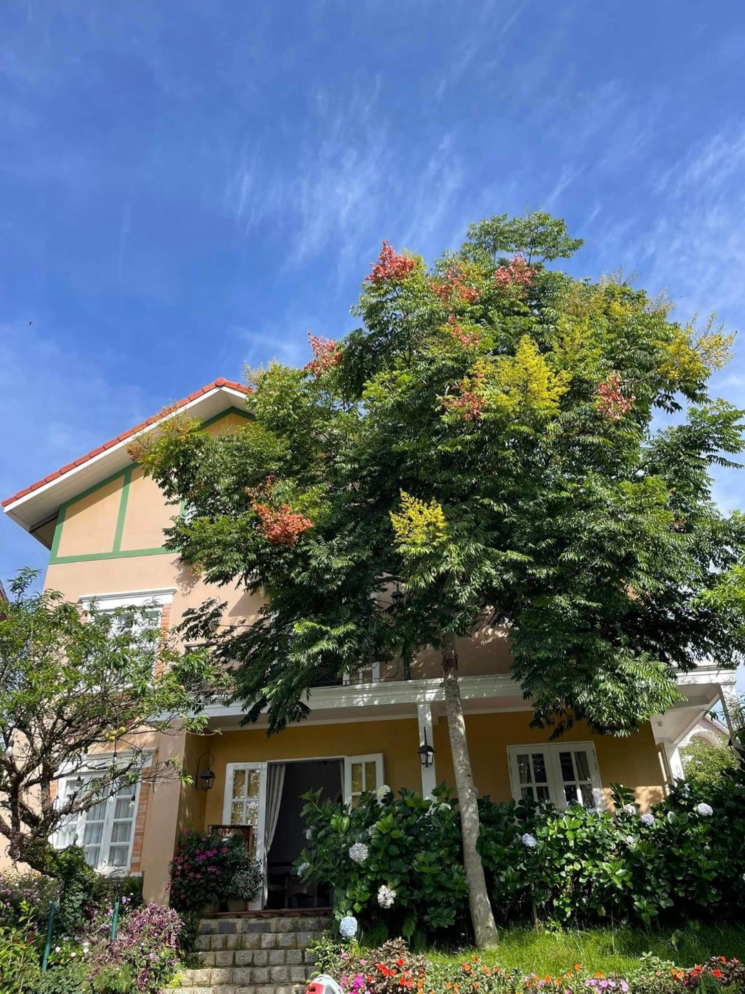 Bich Dao Boutique - Dalat Hotell Exteriör bild