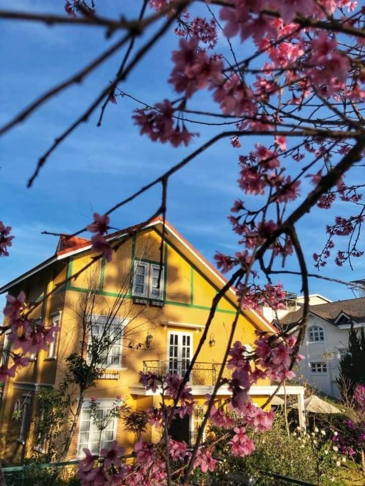 Bich Dao Boutique - Dalat Hotell Exteriör bild